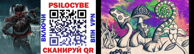 Псилоцибиновые грибы мухоморы  Малая Вишера 